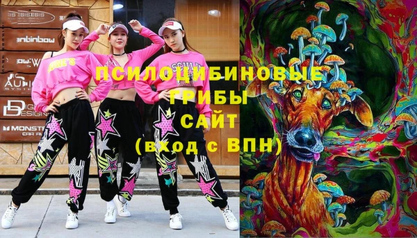 прущая мука Саяногорск