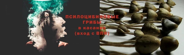 прущая мука Саяногорск
