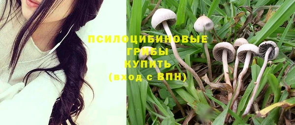 прущая мука Саяногорск