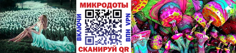 Псилоцибиновые грибы Cubensis  Купить где  Корсаков 