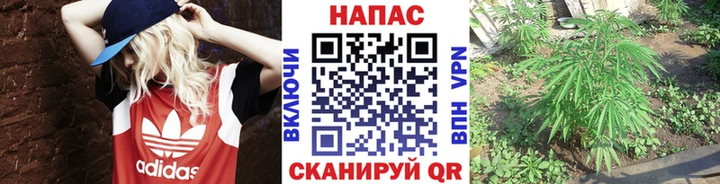 Купить где  Корсаков  МАРИХУАНА план 